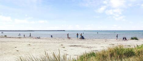 Tæt på stranden, fiskeri