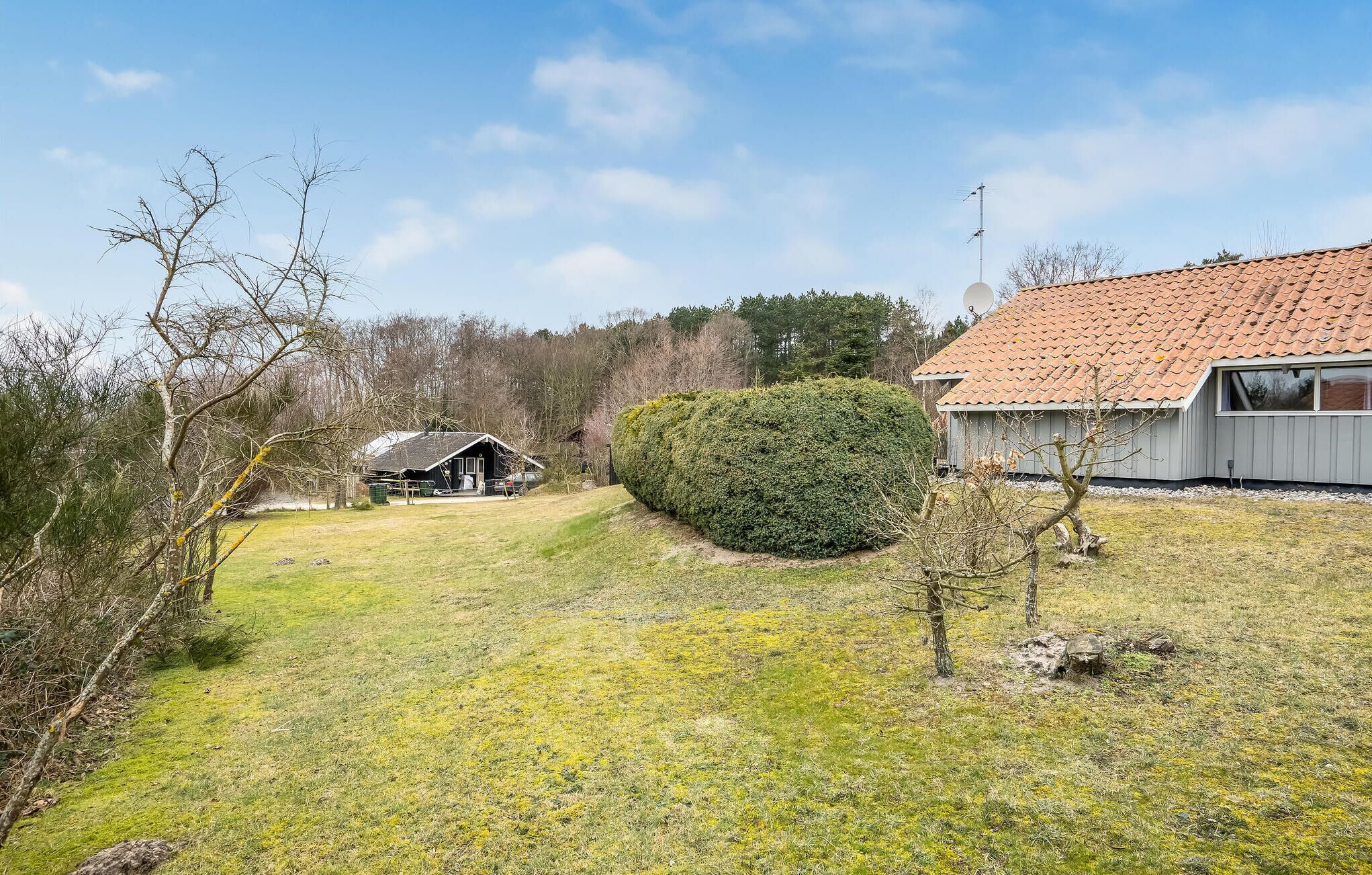 Eksteriør