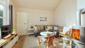 A cozy cabin interior with a sofa, wicker chairs, a TV, a fireplace, and a small table with a plant. - Cozy home in Krems II/Warderbrück with sauna (Krems II/Warderbrück)