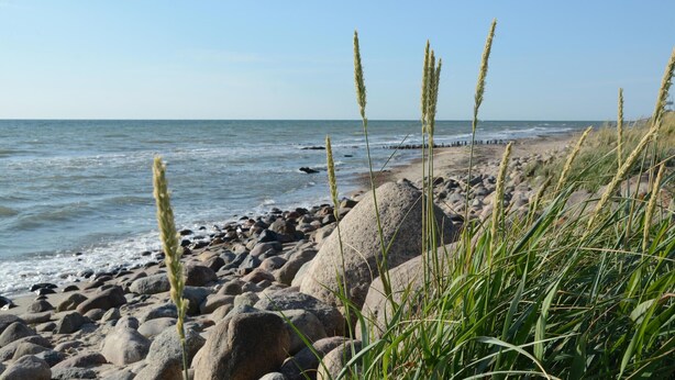 A rocky beach with waves, grasses, and a clear sky. - Beautiful home in Süssau/Ostsee with sauna (Süssau/Ostsee)