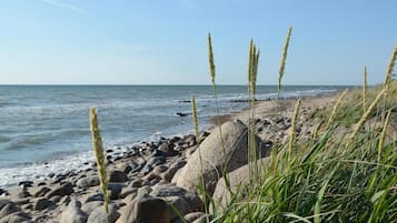 In Strandnähe, Angeln