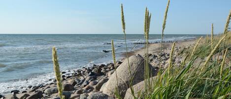 Vlak bij het strand, vissen