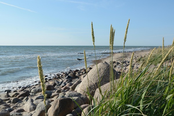 Beach nearby, fishing