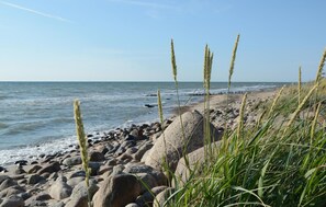 Une plage rocheuse, avec des vagues, de l’herbe et un ciel dégagé.