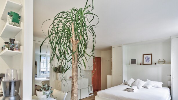 A modern bedroom with a bed, bedside tables, a desk, a chair, a potted plant, and a wardrobe. - Studio Tempa, proche du Château de Vincennes - Welkeys (Vincennes)