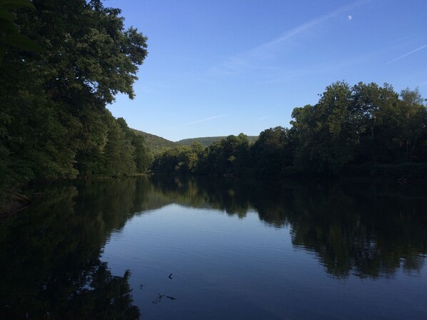 A calm river surrounded by dense trees and a clear sky.