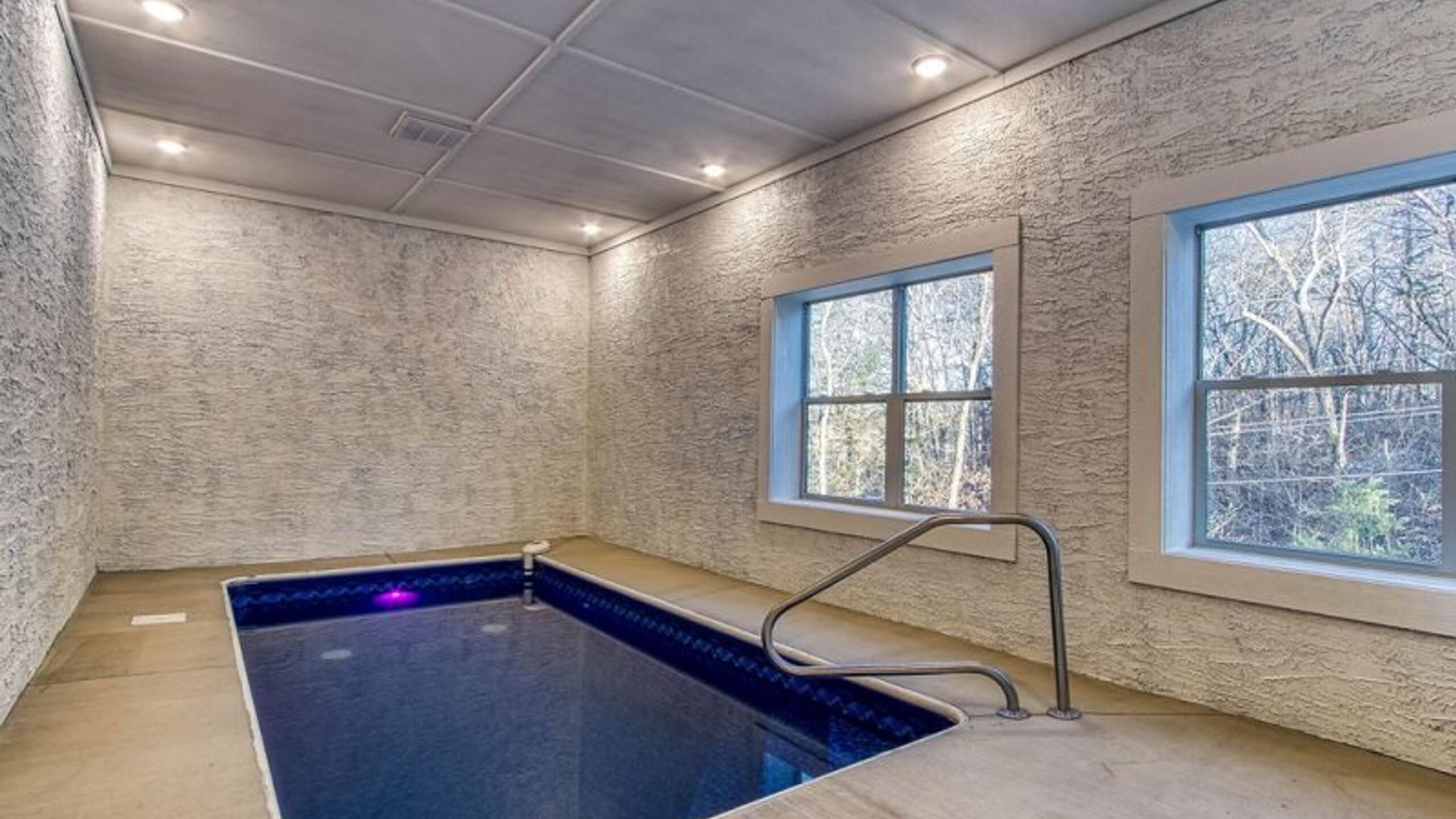An indoor swimming pool with a textured wall, a window with a view of trees, and a metal pool ladder.