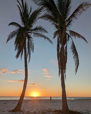 A beach scene with two palm trees and a sunset over the ocean.