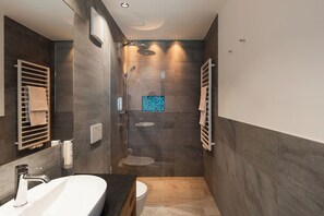 Shower, hair dryer, towels