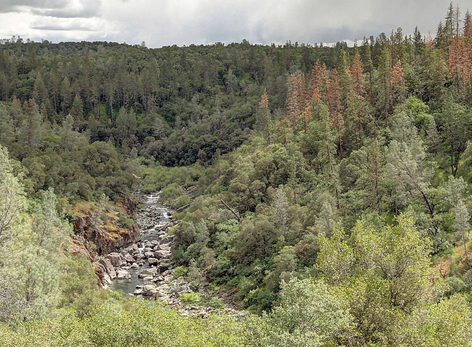 Un río serpentea por una zona boscosa densa, con diversos árboles y terreno rocoso.