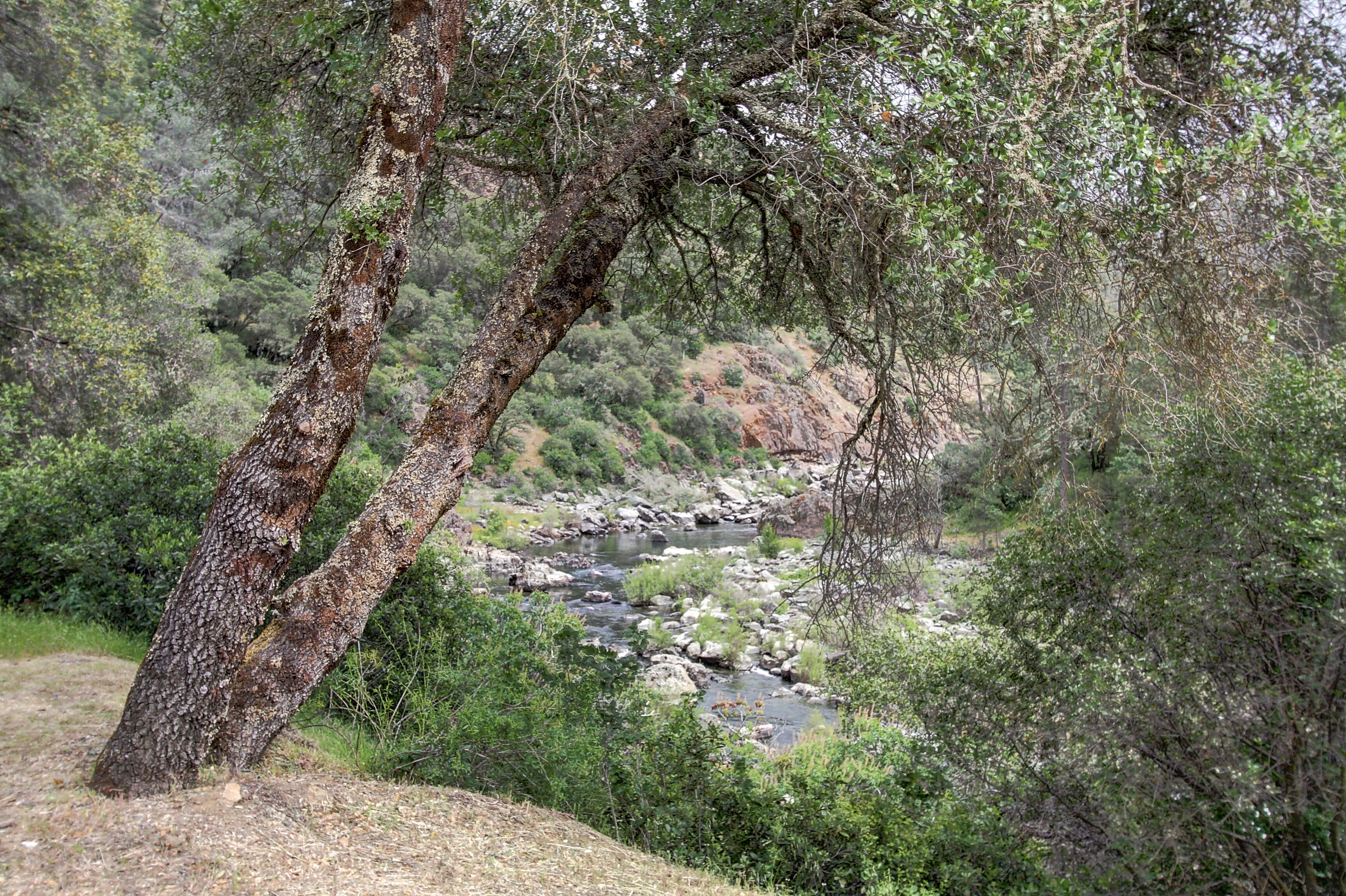 A natural landscape with a river, dense greenery, and a rocky hillside.