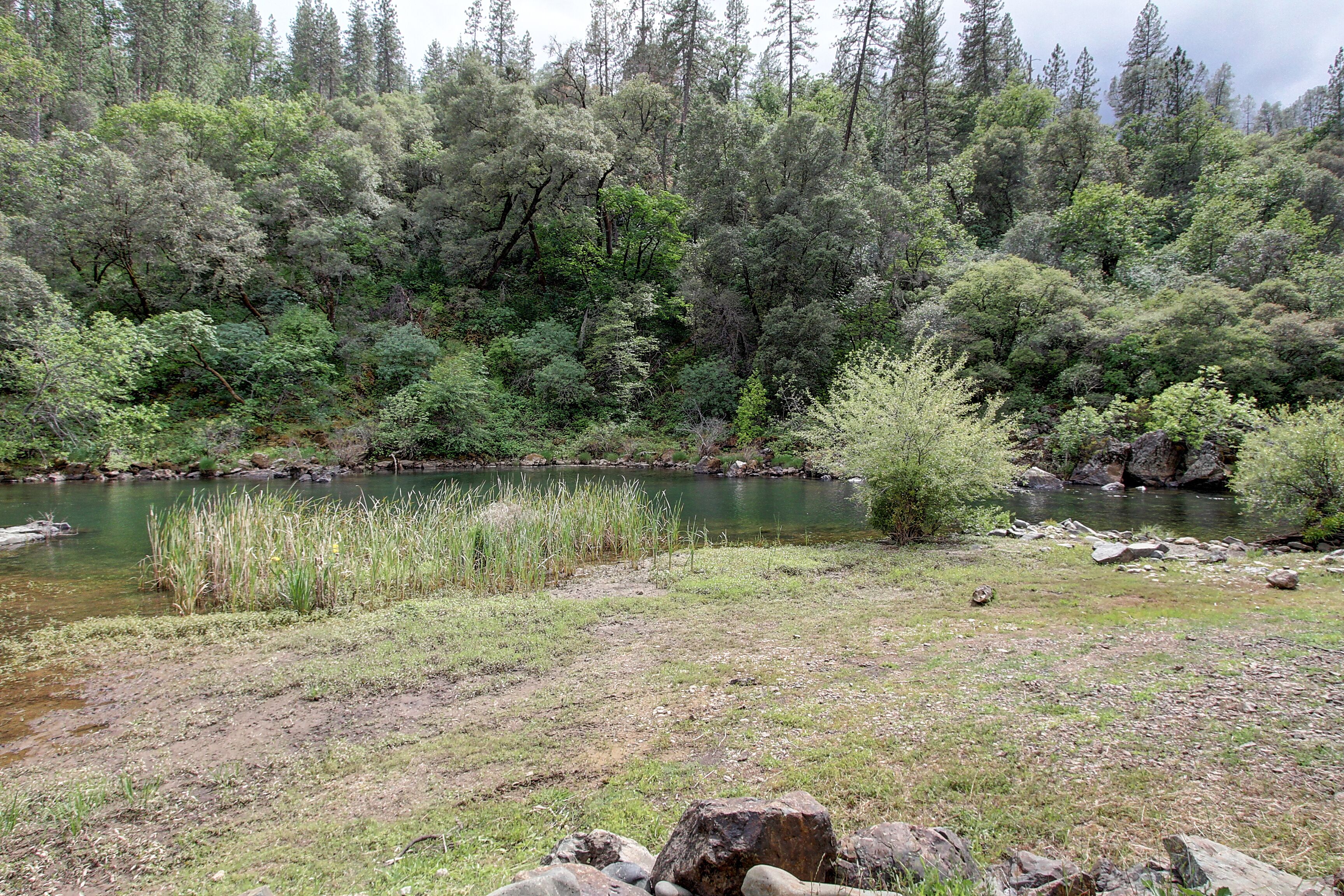 A natural landscape with a river, dense forest, and a grassy area with rocks.