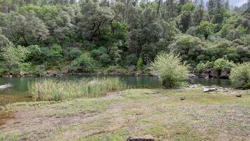 A natural landscape with a river, dense forest, and a grassy area with rocks.