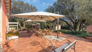 A patio with outdoor furniture, including a table and chairs, and a bench.
