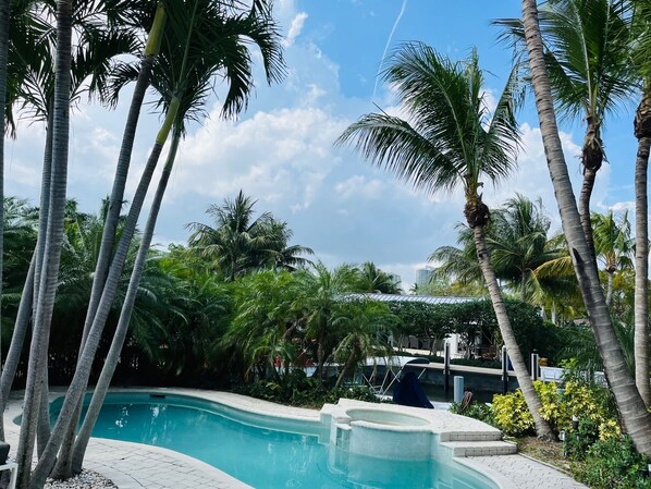 A swimming pool surrounded by palm trees and greenery, with a clear sky above.