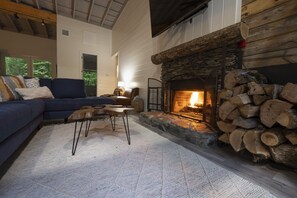 Smart TV, fireplace, books