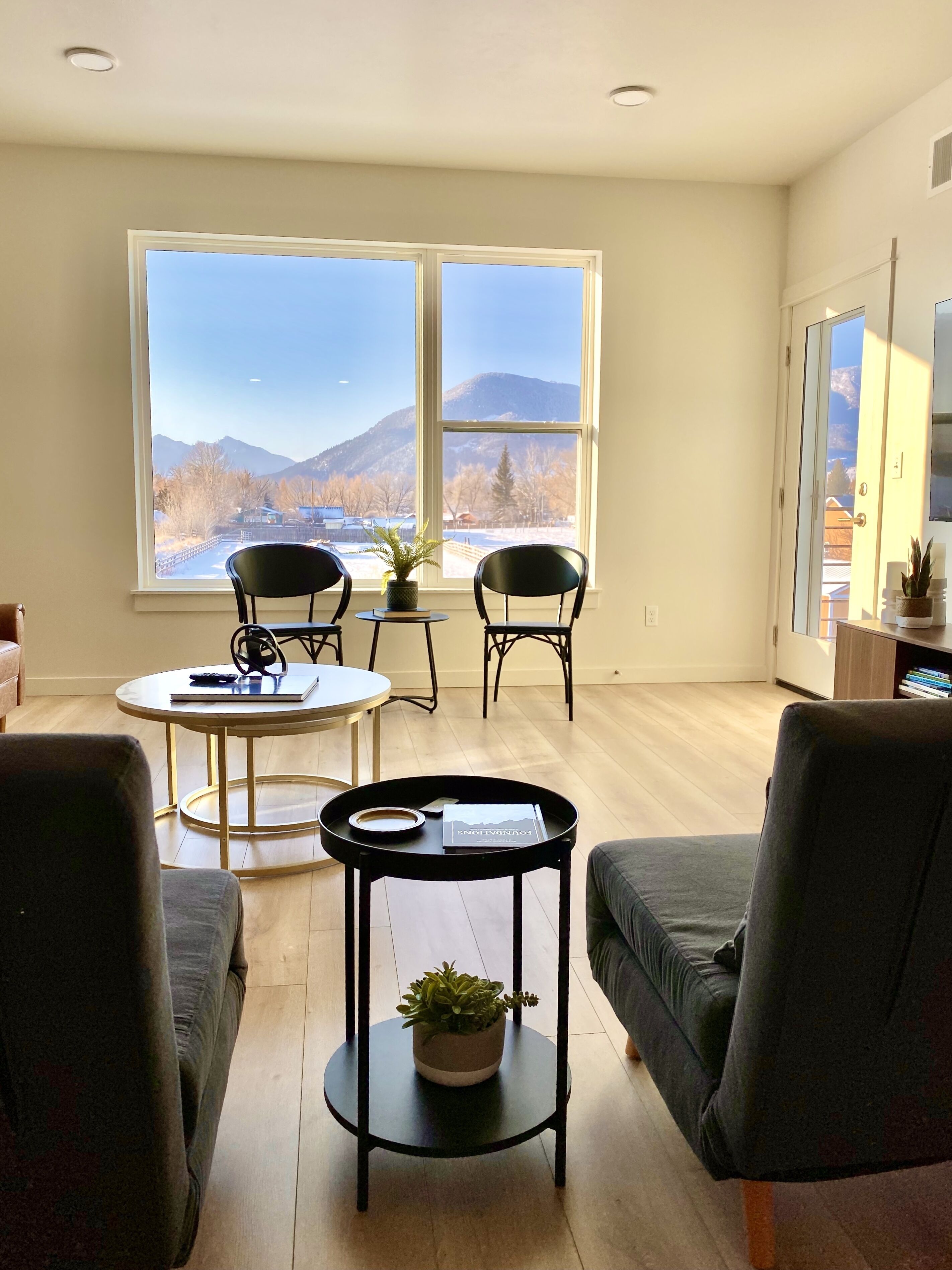 Smart TV, books, computer monitors