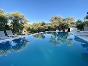 Piscina azul cristalina rodeada de árboles y sillas reclinables blancas.