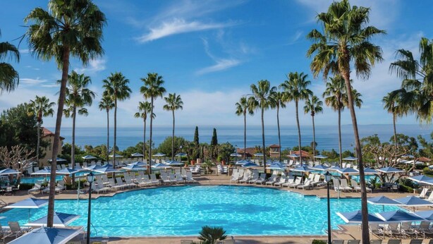 En resort pool med palmer og liggestole.