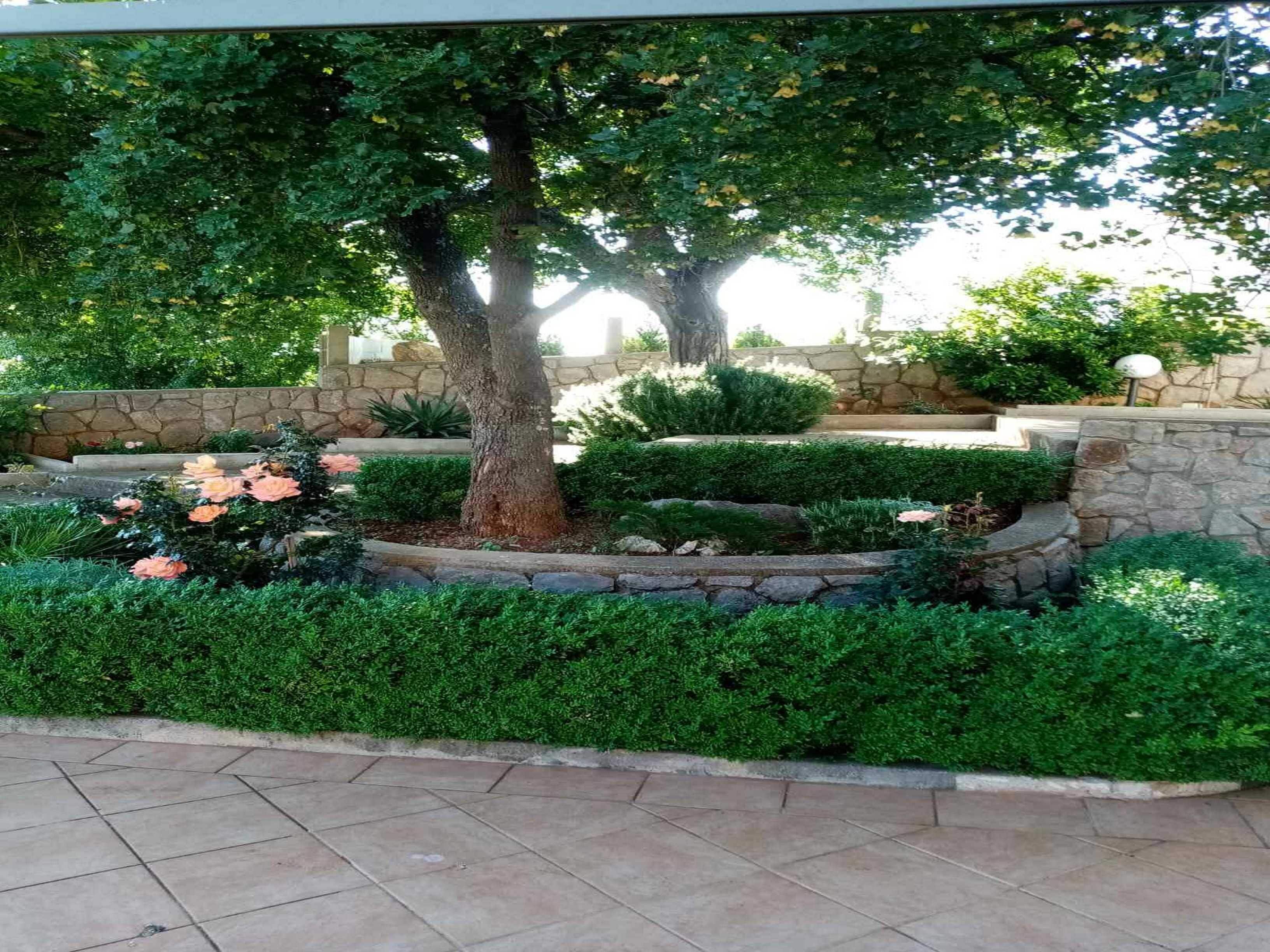 A landscaped garden with a stone pathway, neatly trimmed hedges, and flowering plants.