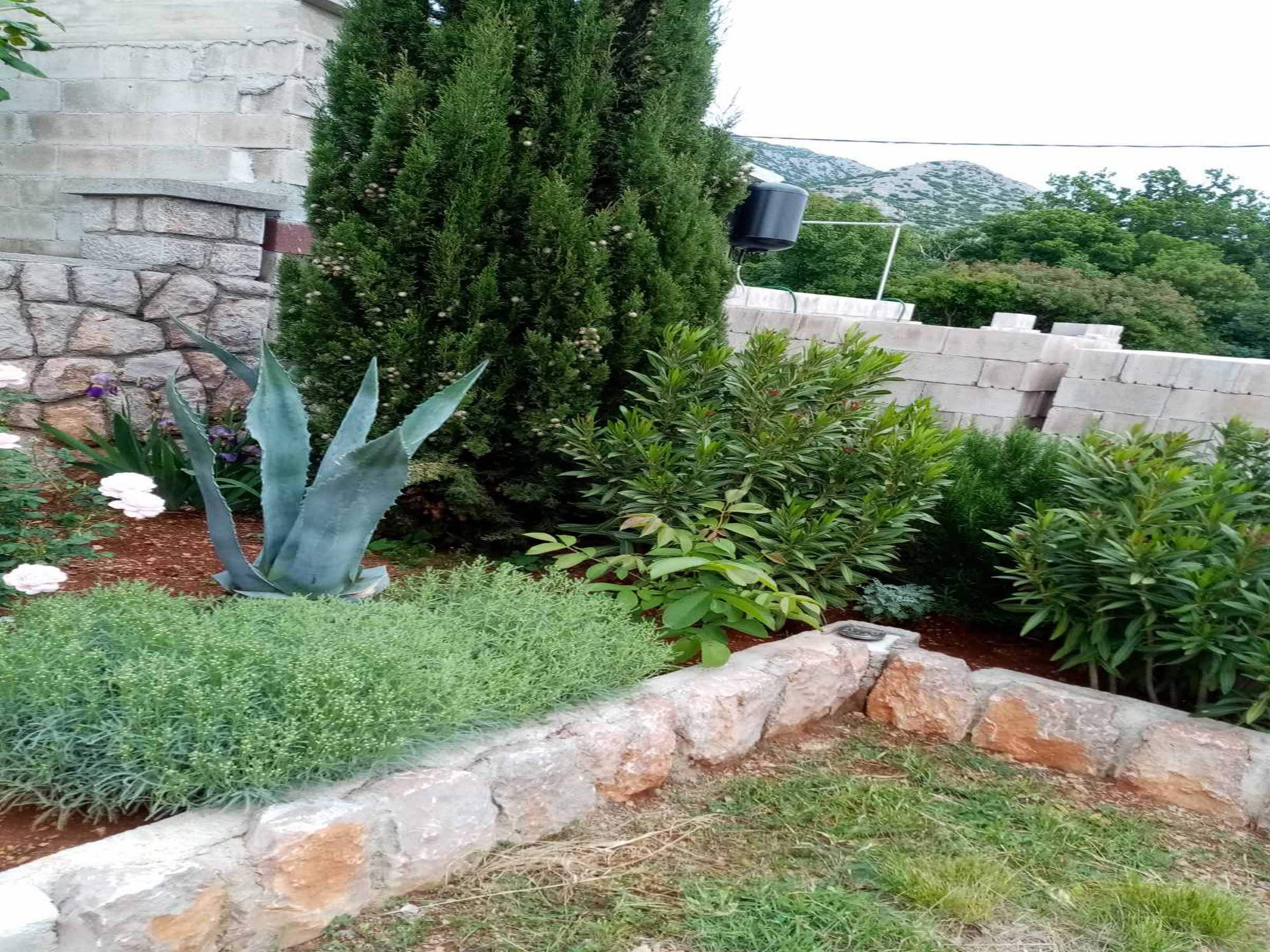 A garden with various plants, a stone wall, and a view of mountains in the background.