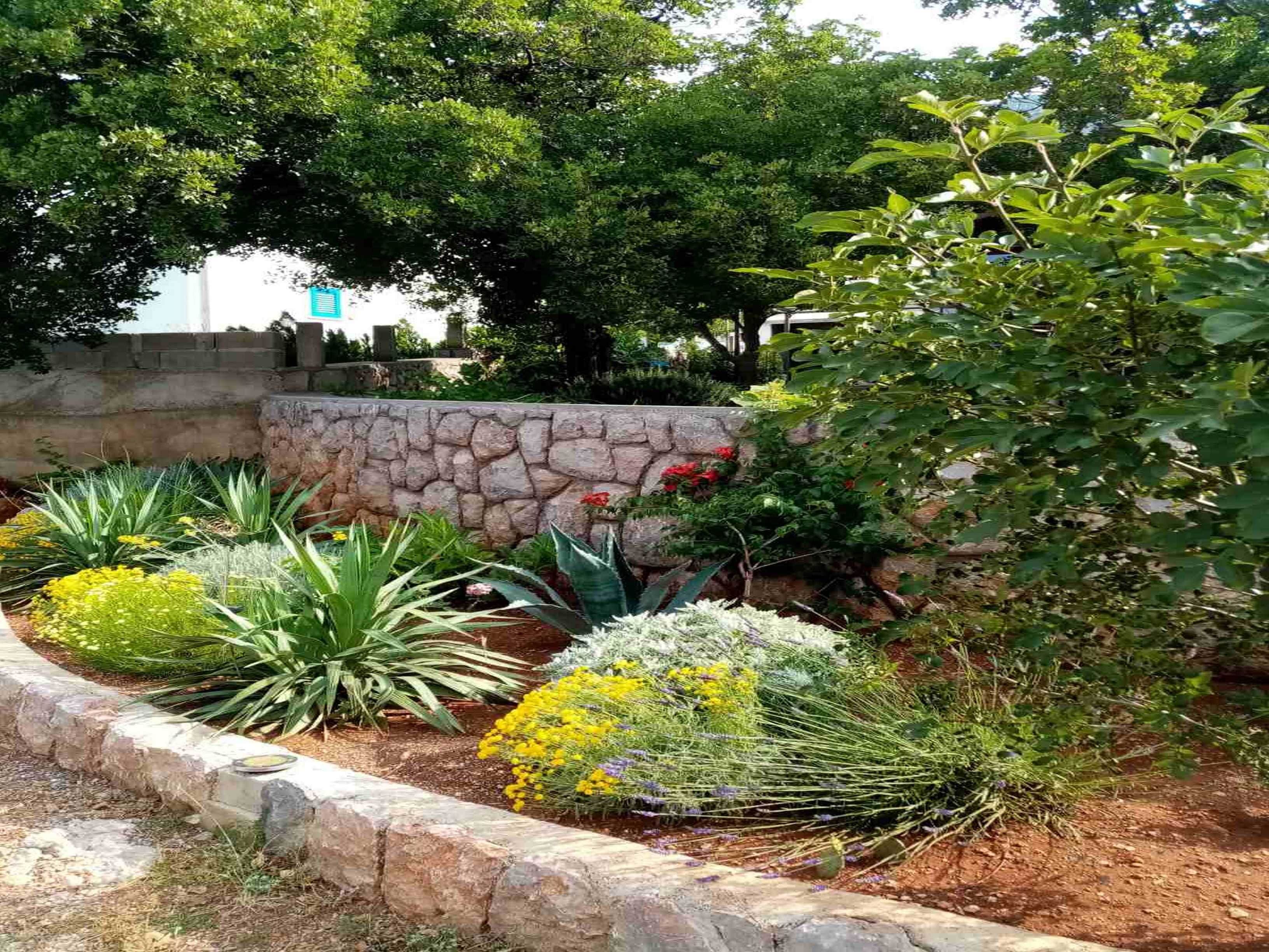 A landscaped garden with various plants and a stone wall.
