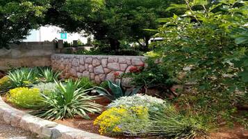 A landscaped garden with various plants and a stone wall.