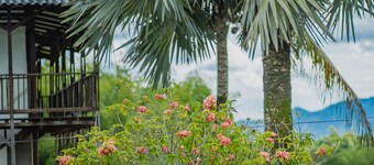 Hacienda Araucaria Habitacion 10