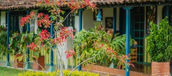 Hacienda Araucaria Habitacion 10