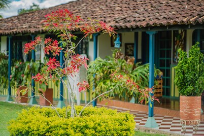 Hacienda Araucaria Habitacion 10