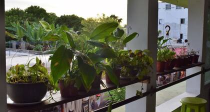 Hostel in Playa del Carmen