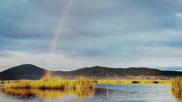 Shared Dormitory, 4 Bedrooms, Patio, Garden View | Beach