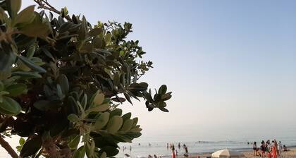 House of the sun and the sea Lascari Cefalu