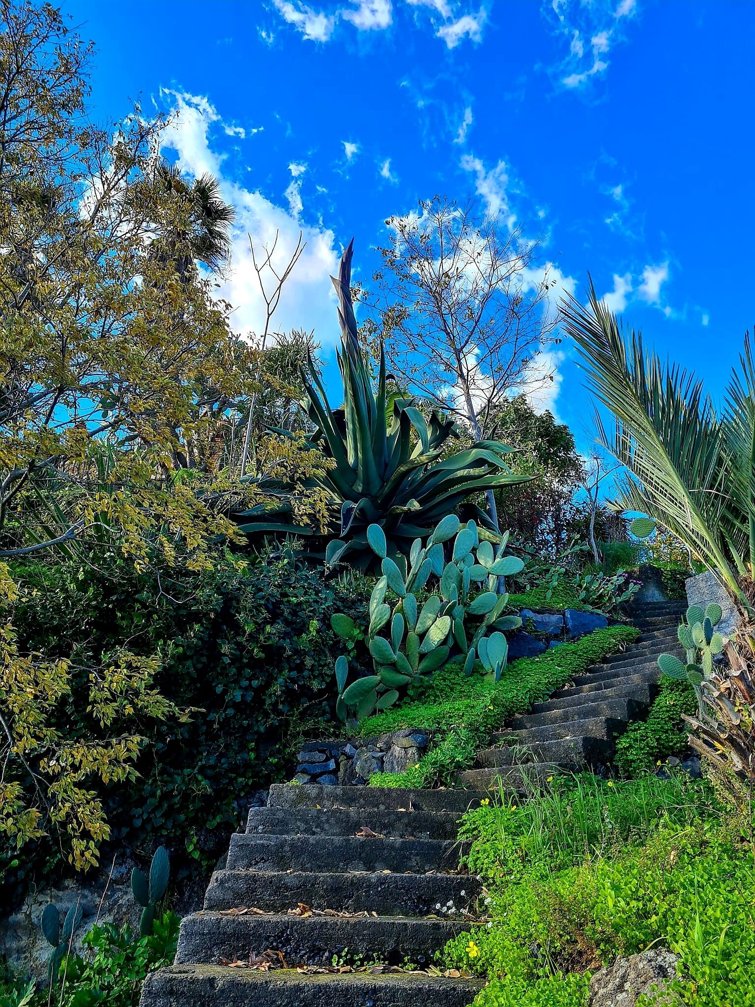 Villa, 4 Bedrooms, Smoking, Private Pool | Property grounds