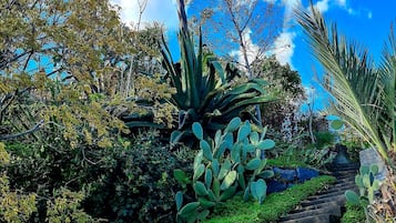 Villa, 4 Bedrooms, Smoking, Private Pool | Property grounds