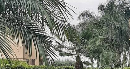 Casa Vacanze Etna Cocus