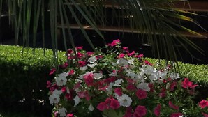 House, 3 Bedrooms, Smoking, Fireplace | Garden - Casa Vacanze Etna Cocus (Santa Venerina)