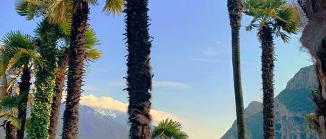 Beach nearby, sun loungers