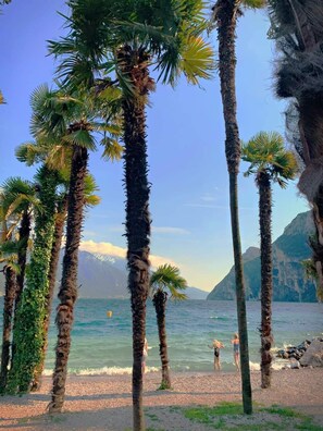 A beach with tall palm trees and a rocky cliff in the background.