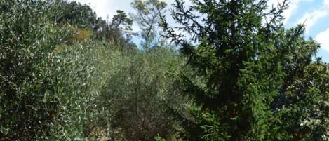 Apartemen, 4 kamar tidur, Boleh Merokok, balkon | Pemandangan dari properti