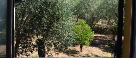 Căn hộ, 4 phòng ngủ, hút thuốc, ban công | Quang cảnh nhìn từ nơi lưu trú