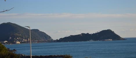 A coastal view with a clear sky, a small island, and a distant shoreline with buildings.