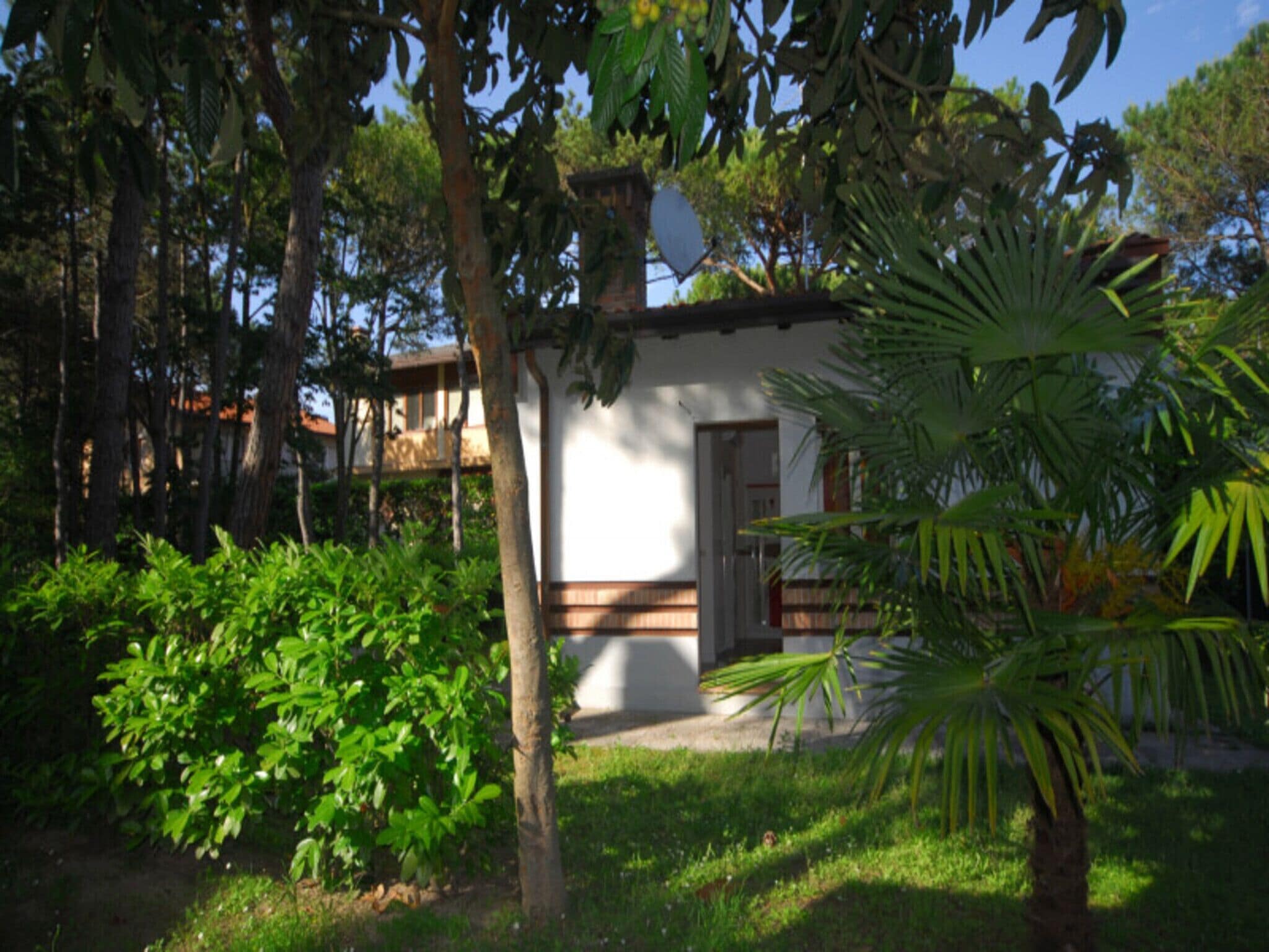 Vila, 2 kamar tidur, pemandangan kebun | Taman