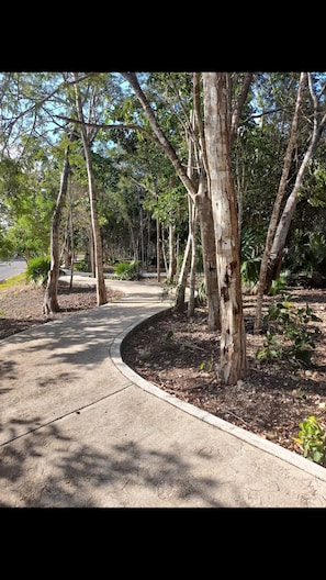 Condo, 2 Bedrooms, Patio | Property grounds