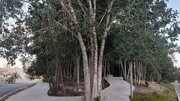 Condo, 2 Bedrooms, Patio | Property grounds