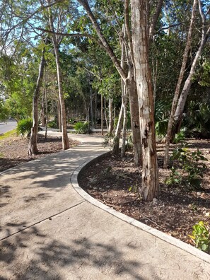 Condo, 2 Bedrooms, Patio | Property grounds - Devoted Hoestel in Cancun With Equipped Kitchen, Pool, Close to Beaches & More! (Cancun)