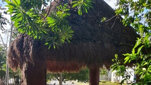 Unclassified image, 4 of 37, button - Devoted Hoestel in Cancun With Equipped Kitchen, Pool, Close to Beaches & More! (Cancun)