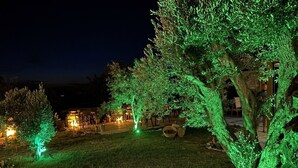 Un jardín nocturno con árboles iluminados y un edificio al fondo.