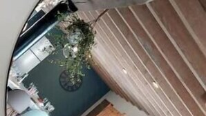Vista circular de una habitación con un banco de madera, una mesita y una planta colgante.
