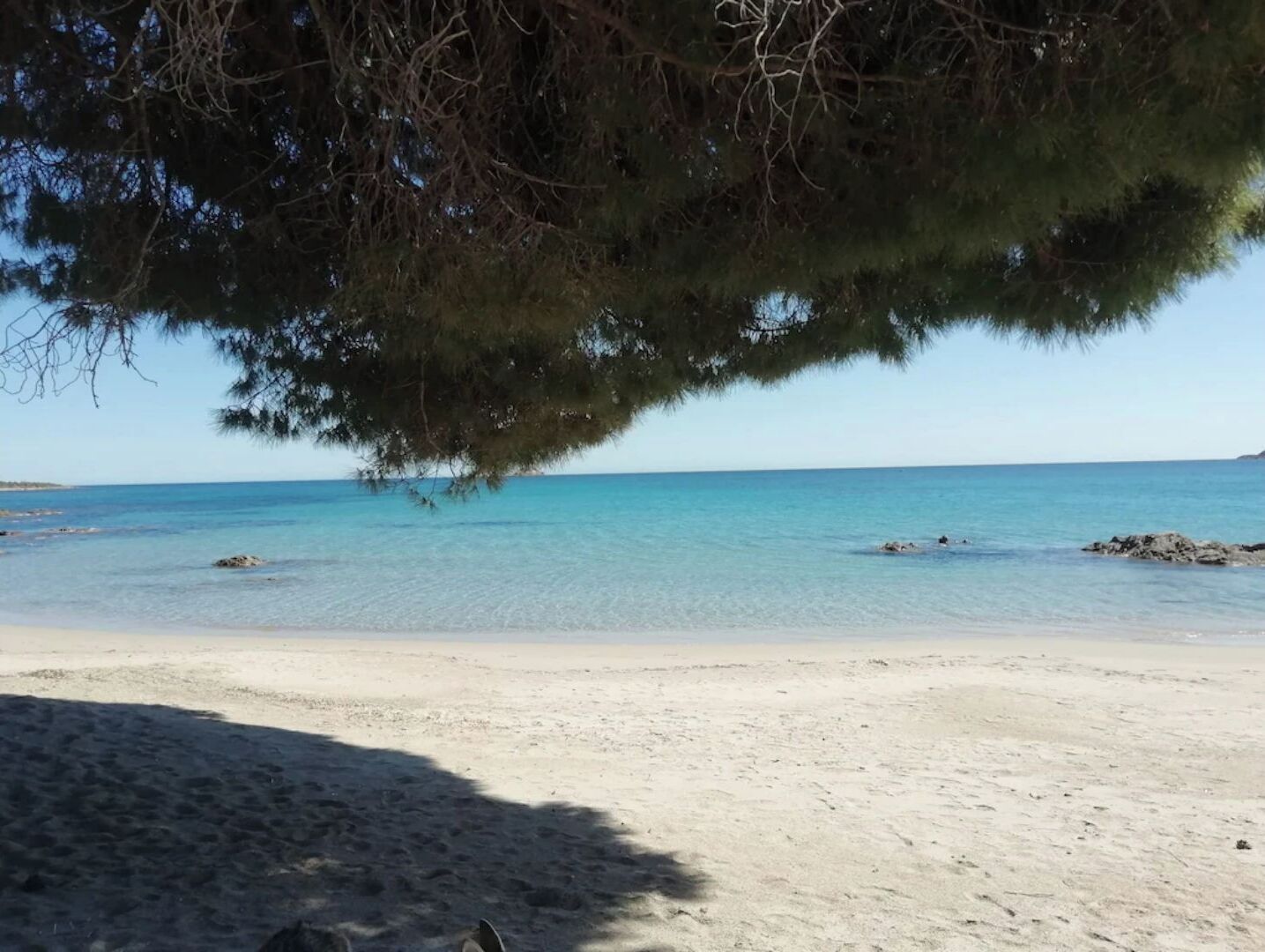 A beach with clear turquoise water, sandy shore, and a tree providing shade.
